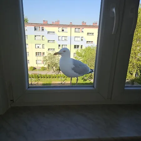 Apartamento Allo Allo 450 M Od Plazy Wczasowa 3